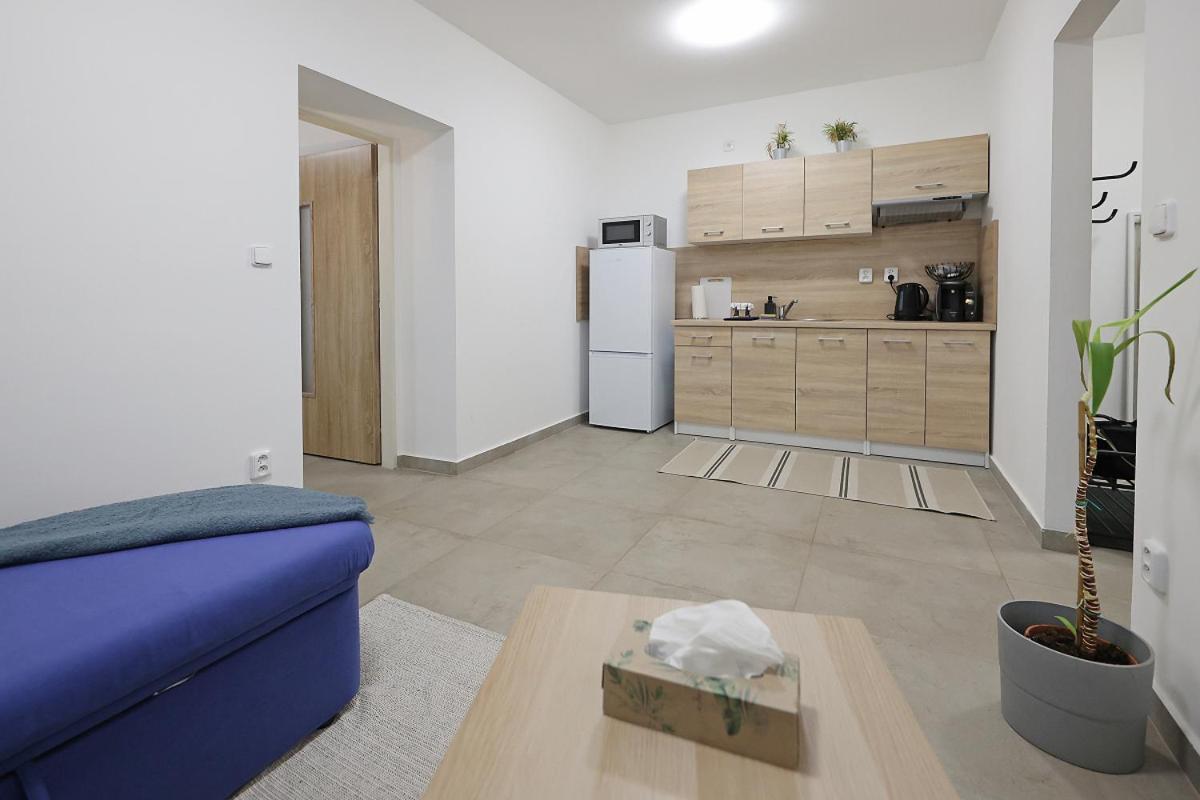 Fara No71 Apart 3 Libice nad Cidlinou Exterior foto